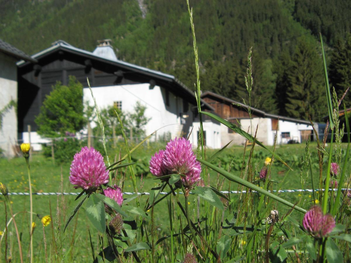 Gite Nouveau Grassonnet Chamonix Esterno foto